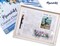 Figured'Art Paint by Numbers for Adults with Frame Feet in water during Summer 16"x20" - Craft Art Painting DIY Kit Canvas Already Stretched on a Wooden Frame